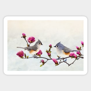 Tufted Titmice on Magnolia Branch Sticker